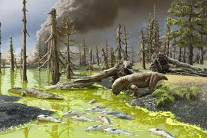 Una “sopa tóxica” contribuyó a la peor extinción en la Tierra y advierten que podría volver a suceder