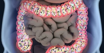 Representación en 3D del microbioma en el intestino