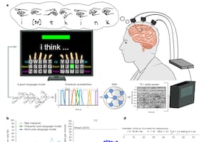 “Pienso en mover los dedos… y aparecen las letras”: lograron que dos personas con parálisis vuelvan a escribir