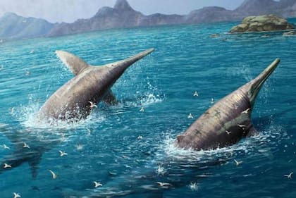 Cómo era el antiguo reptil marino del tamaño de dos autobuses cuyo fósil fue hallado en una playa en Reino Unido