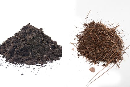 Resaca y pinocha, dos abonos orgánicos que mejorar la calidad del suelo