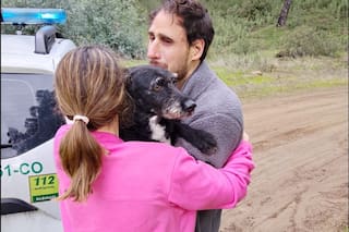 Localizaron a Boro, el perro que se había perdido tras el choque de trenes en España