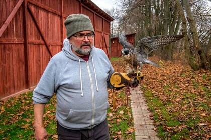 Alexander Borodin, jefe de un centro de halcones del Instituto de Investigación de Protección Ambiental de Rusia, tiene un halcón peregrino en su mano; el centro opera para criar, rescatar y rehabilitar aves rapaces y liberarlas en la naturaleza