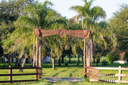 Enrique Götz destinó casi 4000 hectáreas del total de su campo para realizar una reserva natural a la que llamó también el Bagual, donde existen más de 550 especies de animales y 560 plantas