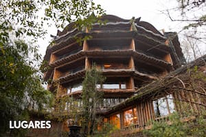 reserva biologica huilo huilo