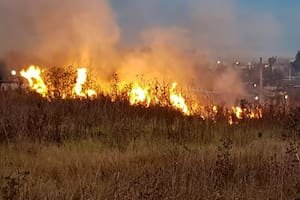 Medio ambiente: advierten sobre incendios en reservas naturales del conurbano