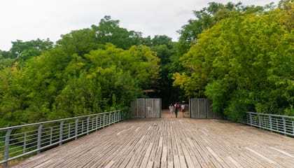 Reserva ecológica Costanera Norte