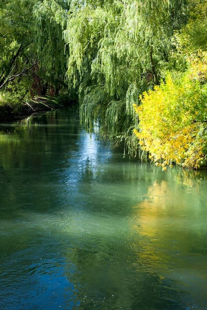 Reserva Isla 92, Choele Choel