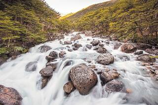 Oszlak: "La tecnología avanza y nuestros líderes no discuten las consecuencias"