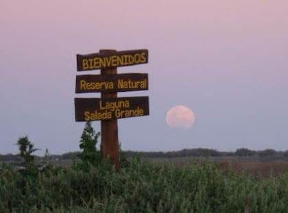Reserva Natural Laguna Salada Grande