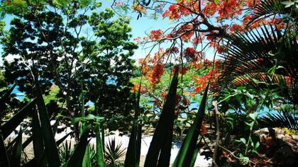 Reserva Serra das Emerencias