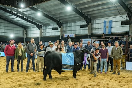 Reservado Gran Campeón Macho de Los Guasunchos