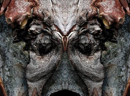 Resonancias del libro rojo.