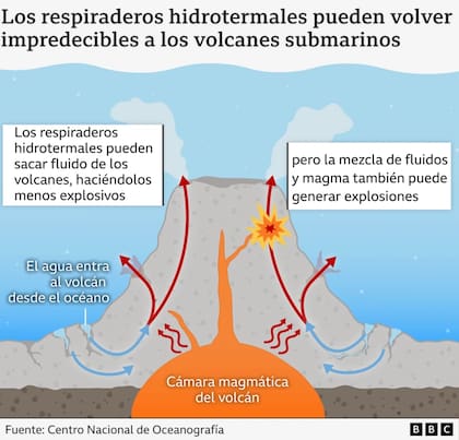 Respiradores hidrotermales