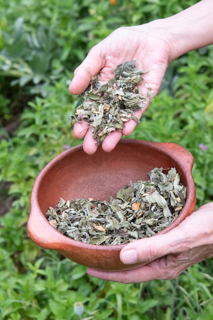 “Respiro”, un blend de su autoría