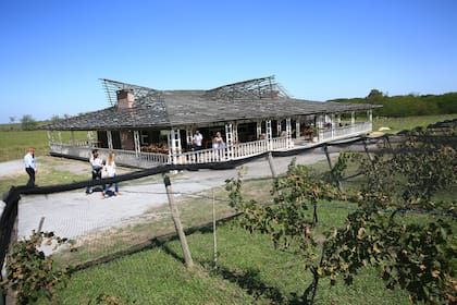 Restaurante con vista a los viñedos, en Bodega Gamboa