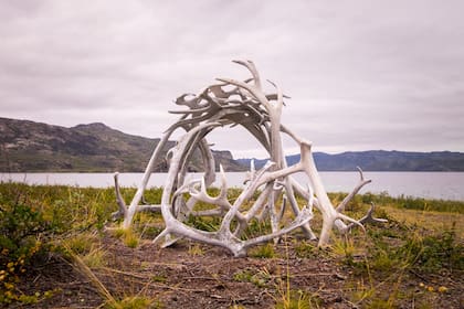 Resto de la cornamenta de los renos en los alrededores de Kangerlussuaq; la caza es una actividad muy relacionada con la cultura del lugar.