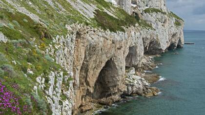 Restos de las cuevas neandertales de Gorham, en Gibraltar