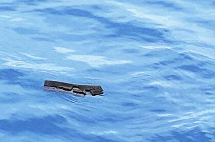 Restos del avión hallados flotando en el agua