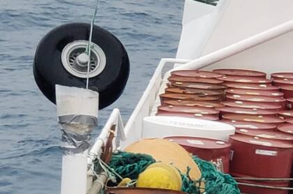 Los restos serán analizados