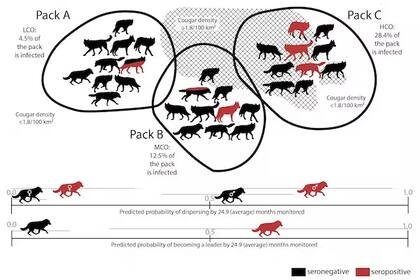 Resultados del estudio. Kira Cassidy, CC BY