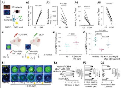 Resultados en modelos experimentales de ojo seco: las gotas con partículas LEAF aumentaron niveles antioxidantes y redujeron el daño inflamatorio en la superficie ocular