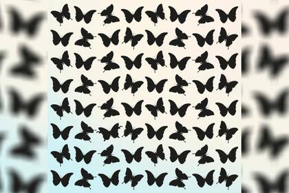 Reto visual: encontrar la mariposa diferente en 30 segundos