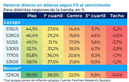 Retorno directo en dólares de los instrumentos en pesos, según el tipo de cambio al vencimiento.
Fuente: Facimex