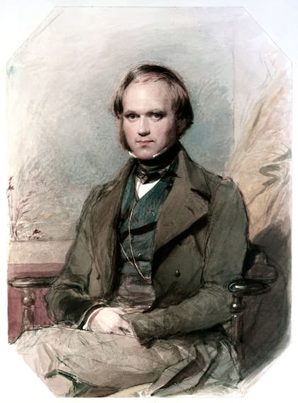 Retrato de un joven Charles Darwin en 1840; acuarela y tiza sobre papel de George Richmond, 1840