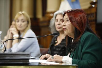Reunión de Comisión de acuerdos en el Senado de La Nación.
Ana María Figueroa, jueza de la Cámara Federal de Casación Penal.