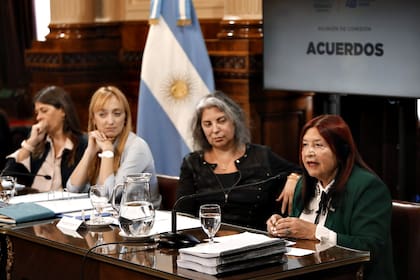 Reunión de Comisión de acuerdos en el Senado de La Nación.
Ana María Figueroa, jueza de la Cámara Federal de Casación Penal.
