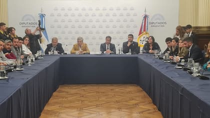 Reunión de intendentes de Santa Fe con diputados y el ministro Cabandié por los incendios