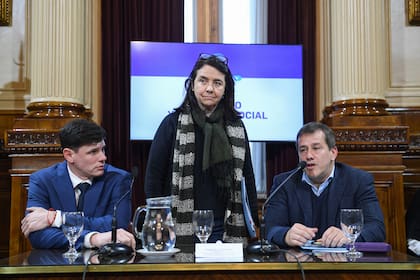 Reunión de la Comisión de Trabajo y Previsión Social. Los senadores Bruno Olivera Lucero, Carmen Alvarez Rivero y Mariano Recalde