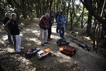Reunión de personas con sus réplicas a escala de autos en el vial costero de Vicente López.