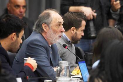 Pablo Tonelli (Pro) en el debate de comisión