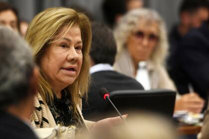 Graciela Camaño en el debate de comisión sobre el lavado de activos y la financiación del terrorismo
