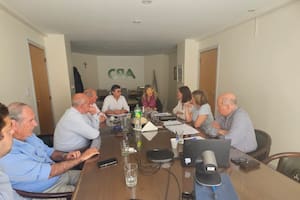 Compra de acciones: cambio de manos en el control de Celulosa Argentina - Image 3