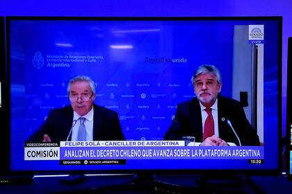 Reunión remota de la comisión de Relaciones Exteriores y Culto del Senado de la Nación, de la que participaron el canciller Felipe Solá y el embajador Daniel Filmus, secretario de Malvinas, Antártida y Atlántico Sur