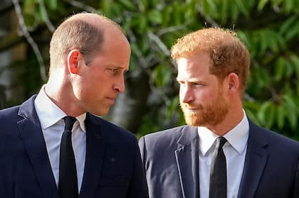 Revelan el motivo por el que el príncipe Harry no se cruzó con su hermano William