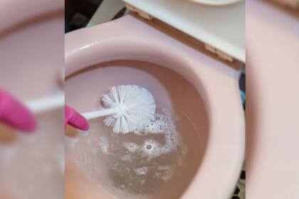 Revelan un truco infalible para limpiar el baño (Foto Pexels)