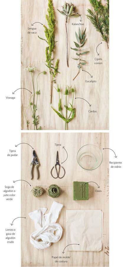 Revista Jardín