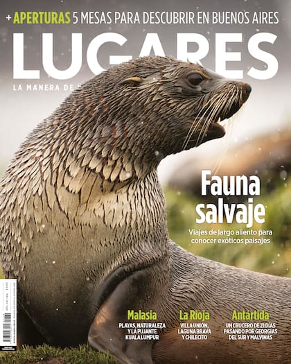 Revista Lugares 339. Julio 2024.