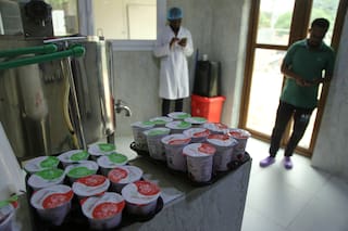 Revolución de la leche de camello en Somalia mejora la nutrición y crea empleos