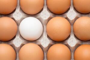 ¿Revuelto, frito o cocido? Esta es la forma ideal de comer el huevo para aprovechar todos sus beneficios