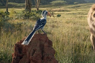 Llegan las vacaciones: El rey león se suma a Toy Story 4 y otras propuestas