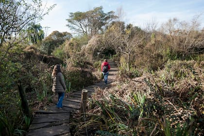 Hay varios senderos para recorrer fácilmente el parque