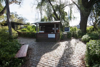Ribera Norte de San Isidro: una reserva natural muy cerca del caos urbano