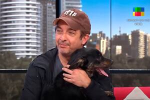 El gesto solidario de Ricardo Darín: apareció en un programa en vivo para ayudar a un perro perdido