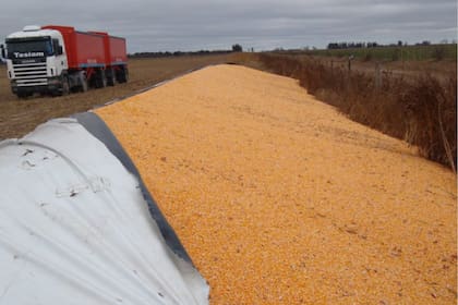 Ricardo Del Bo, excorredor de turismo de carretera sufrió un ataque en su campo en Canals, Córdoba