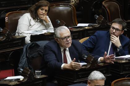 Ricardo López Murphy en el recinto de la Cámara de Diputados